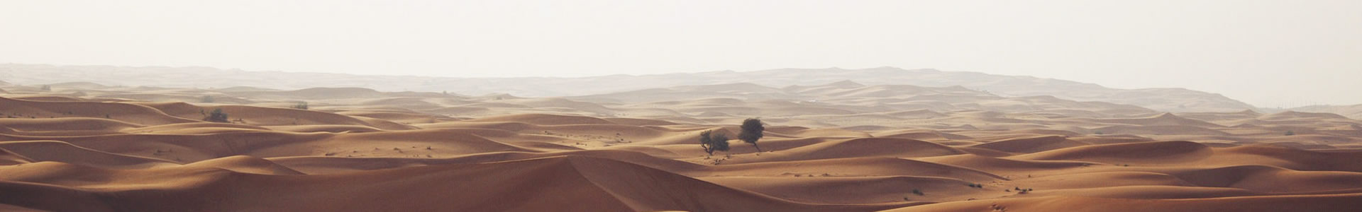 ϵ˻Ƽ޹˾